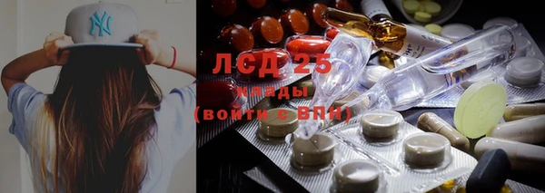 бошки Абаза