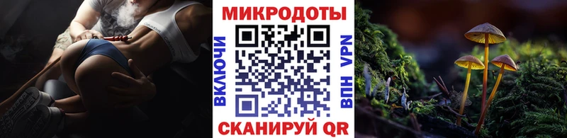 Галлюциногенные грибы MAGIC MUSHROOMS  KRAKEN ТОР  Торжок 